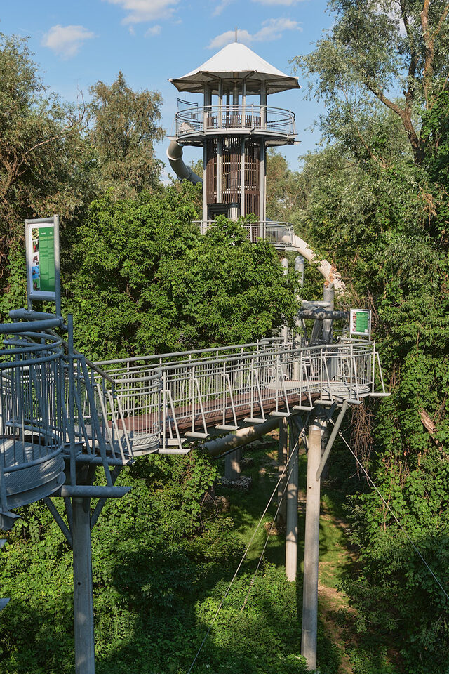 Lombkorona sétány